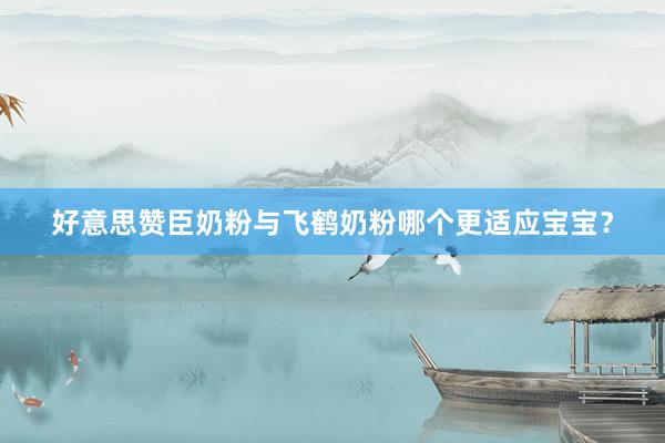 好意思赞臣奶粉与飞鹤奶粉哪个更适应宝宝？
